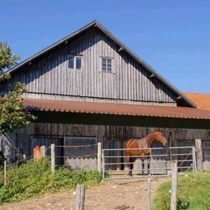 Pensions- und Bewegungsstall auf der Allgäu Ranch in Wolfartsberg